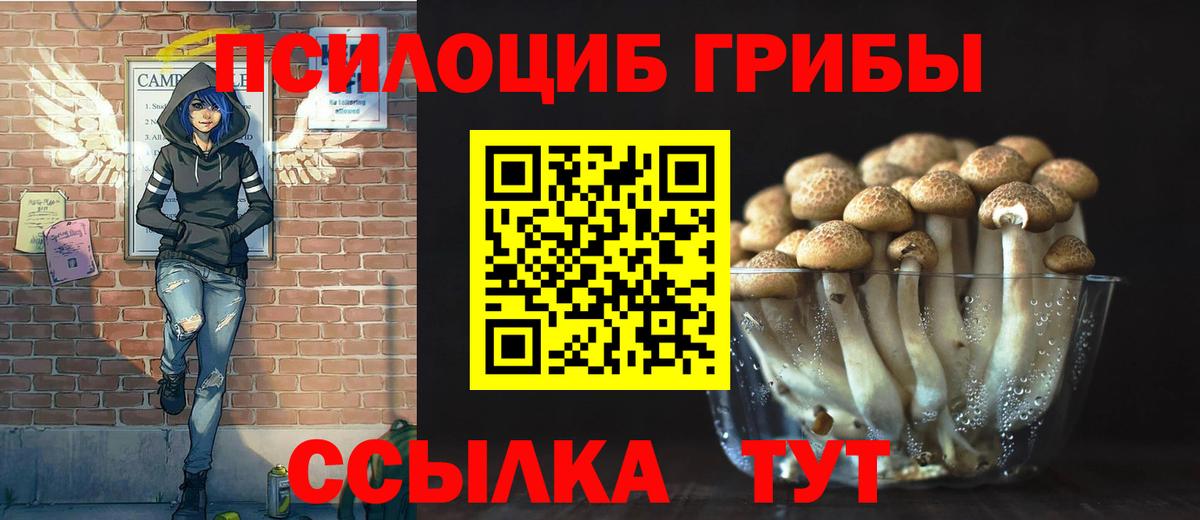 Псилоцибиновые грибы Psilocybine cubensis  Псилоцибиновые грибы прущие грибы  где продают наркотики  Рубцовск  Вход с VPN 